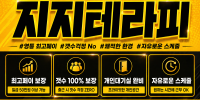 지지테라피