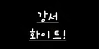 화이트
