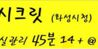 시크릿 스웨디시