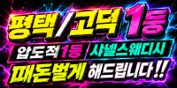 샤넬스웨디시