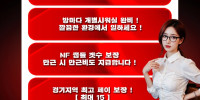20대한국인