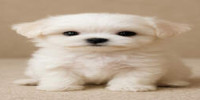 구인